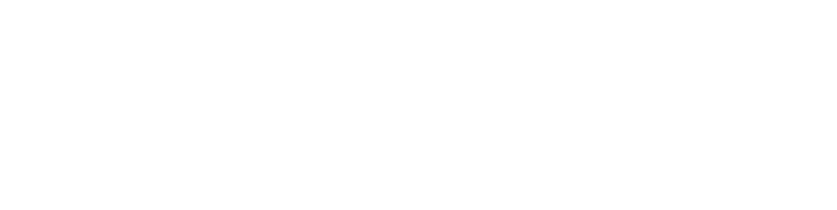 Anthem Logo Horizontal_reverse